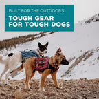 Small wilderdog dog backpack four adjustment points fitting mechanism