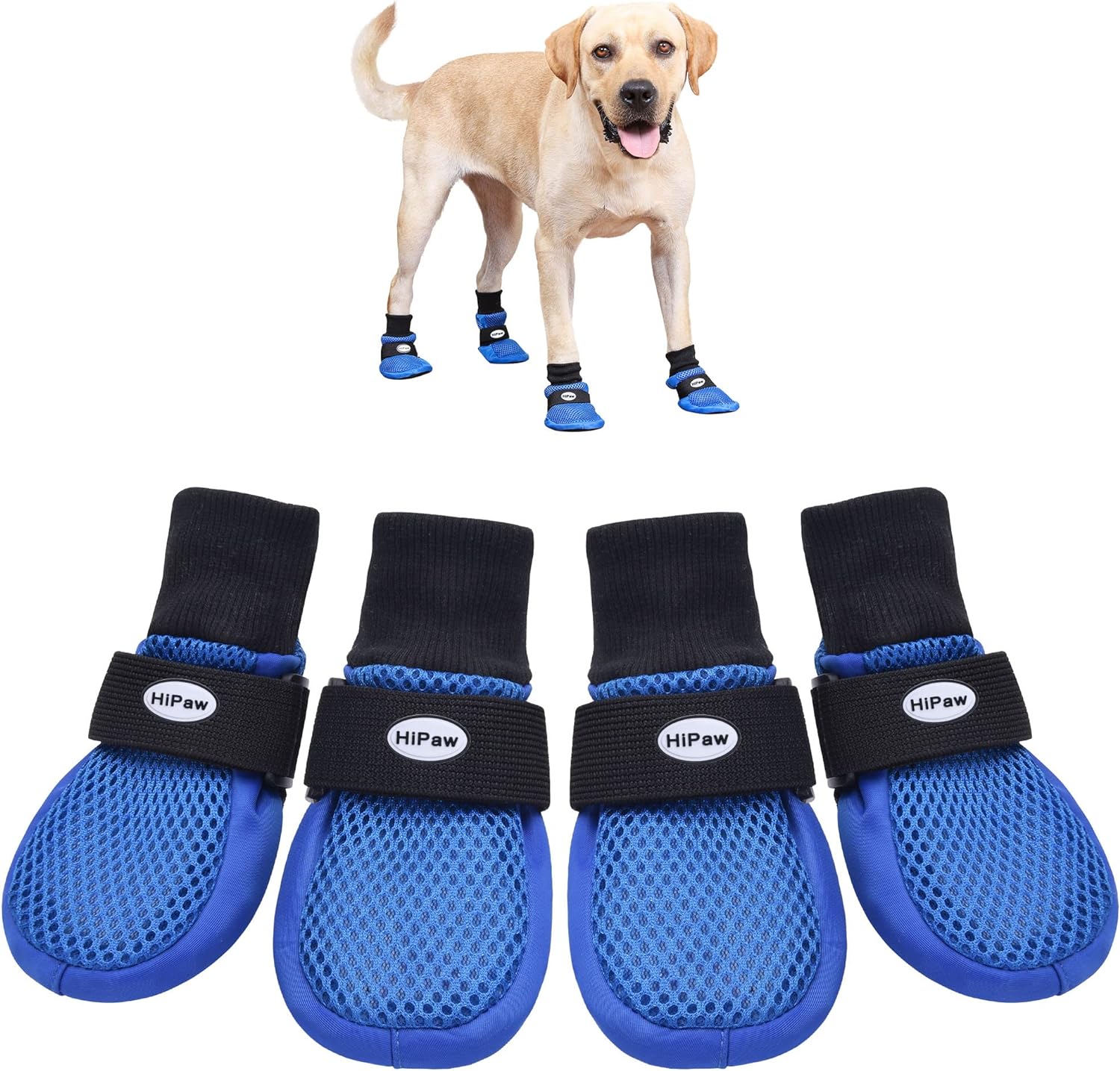 HiPaw dog boots packaging and set of four for medium to large breeds