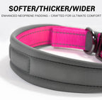 Dazner personalized collar on a medium sized dog