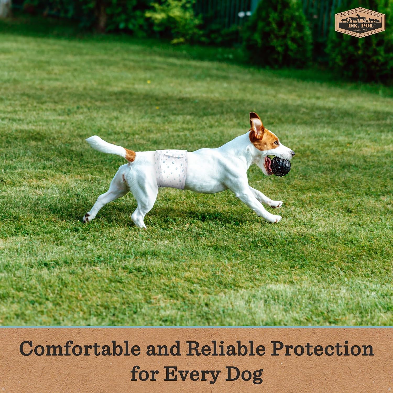 Three hundred and sixty degree leak proof protection guard on Dr. Pol dog wraps.