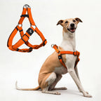 Kruz No Pull Dog Harness (Chest 26"-38", Weight 44-88 lbs) Heavy-Duty Pet Harness for Large Breeds, Ultra-Comfort Fit, Lifetime Durability, Adjustable Dog Harness No Pull Design (Amethyst, Large) - Image 15