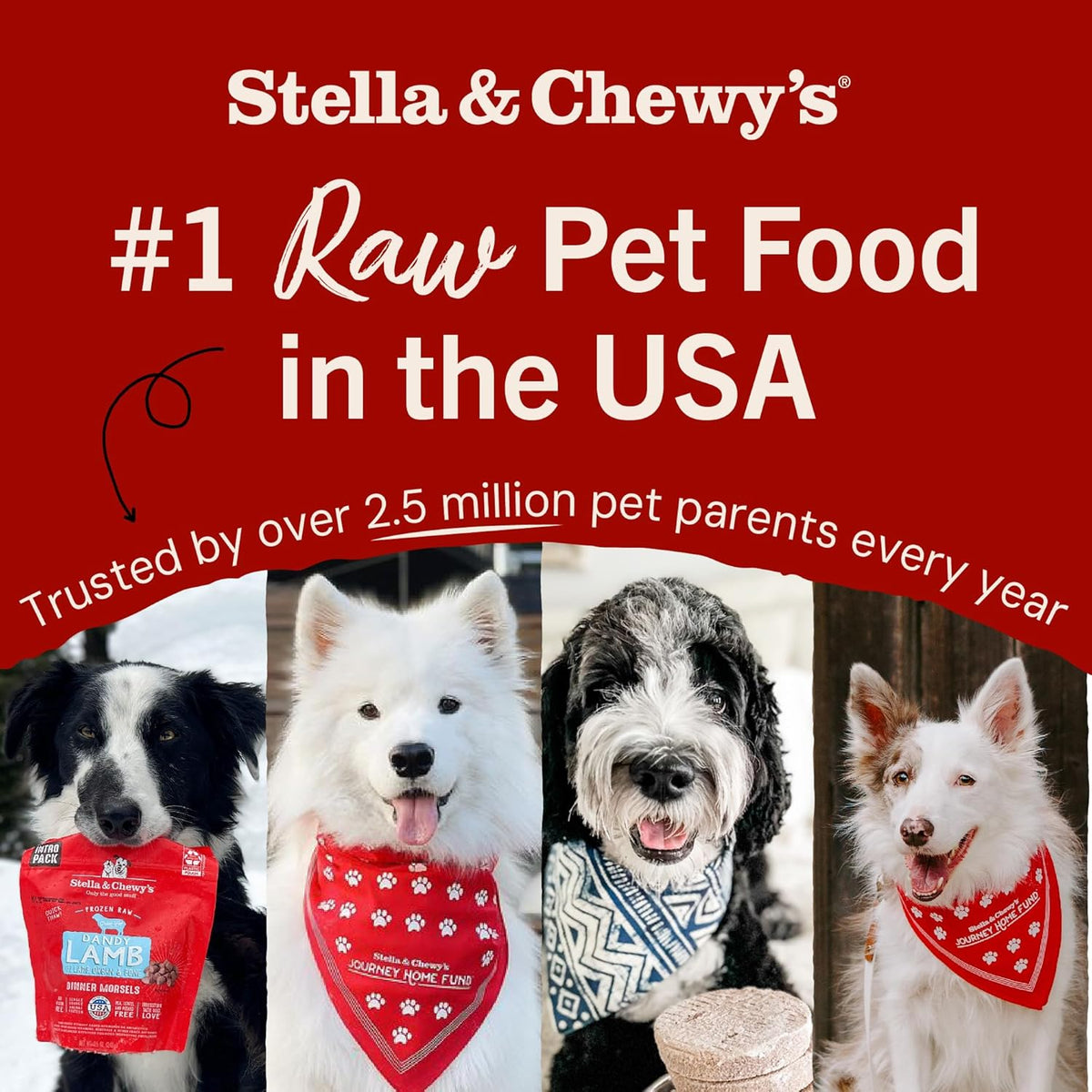 All life stages raw lamb meal mixer for small and large dogs