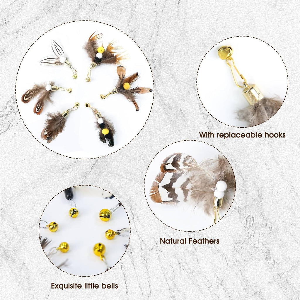 Six different styles of natural insect cat toy feathers refills with bells