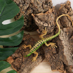 Gatuida reptile bark decoration pieces displaying moisture resistant qualities