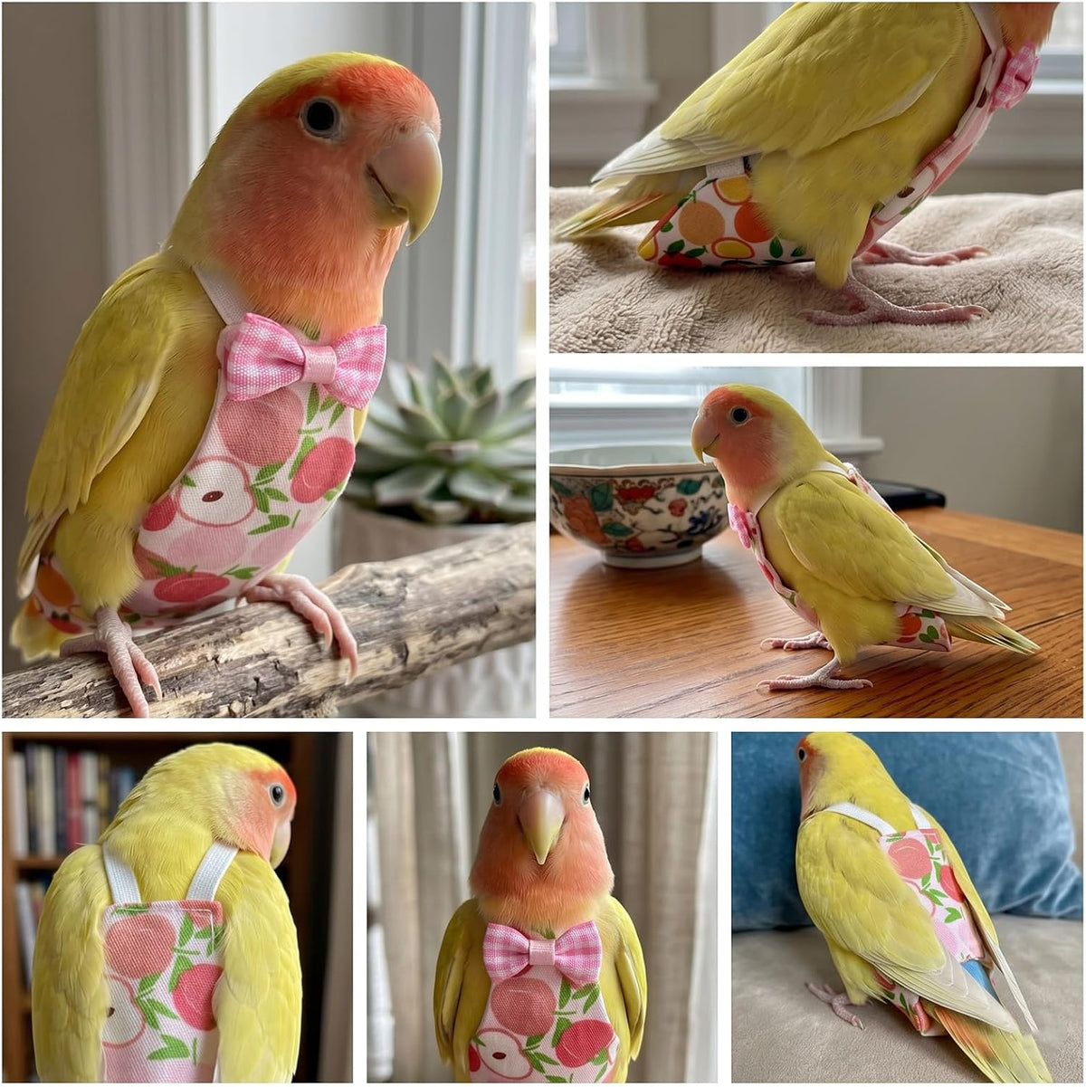 Skrfren washable bird clothes four pack