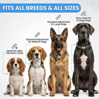 AKDNZ heavy duty rust resistant steel dog collar for small medium and large dogs