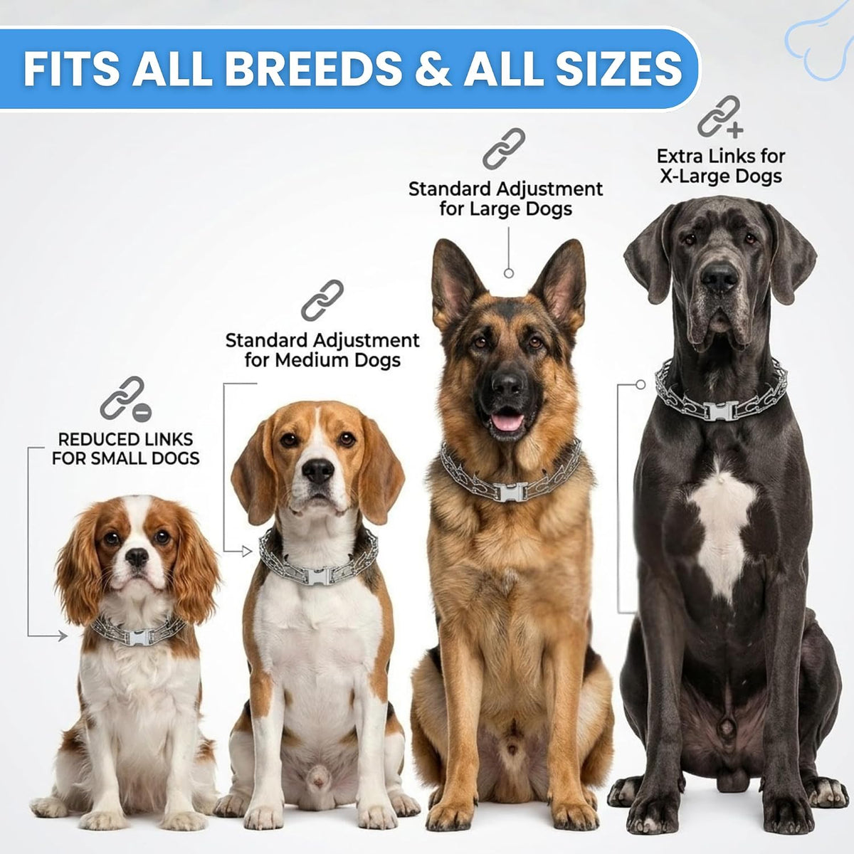 AKDNZ heavy duty rust resistant steel dog collar for small medium and large dogs