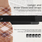Expawlorer dog socks set of four pieces on a wooden surface