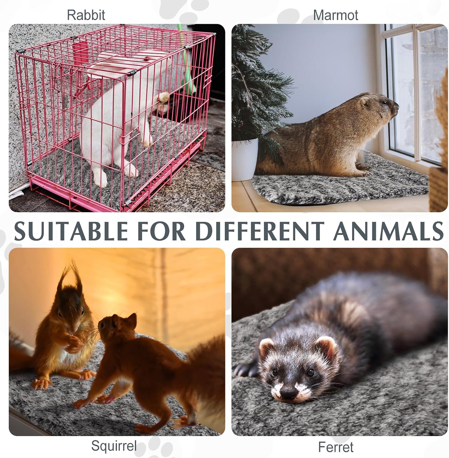 Drydiet sixteen by twenty inch gray heating mat inside an outdoor community cat shelter.