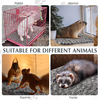 Drydiet sixteen by twenty inch gray heating mat inside an outdoor community cat shelter.