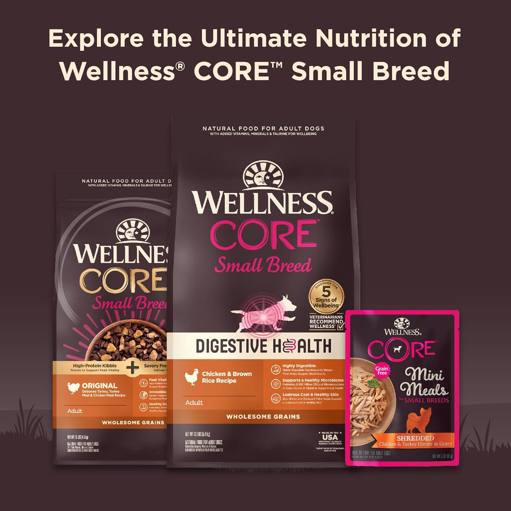 Wellness CORE small breed wet dog food texture in gravy