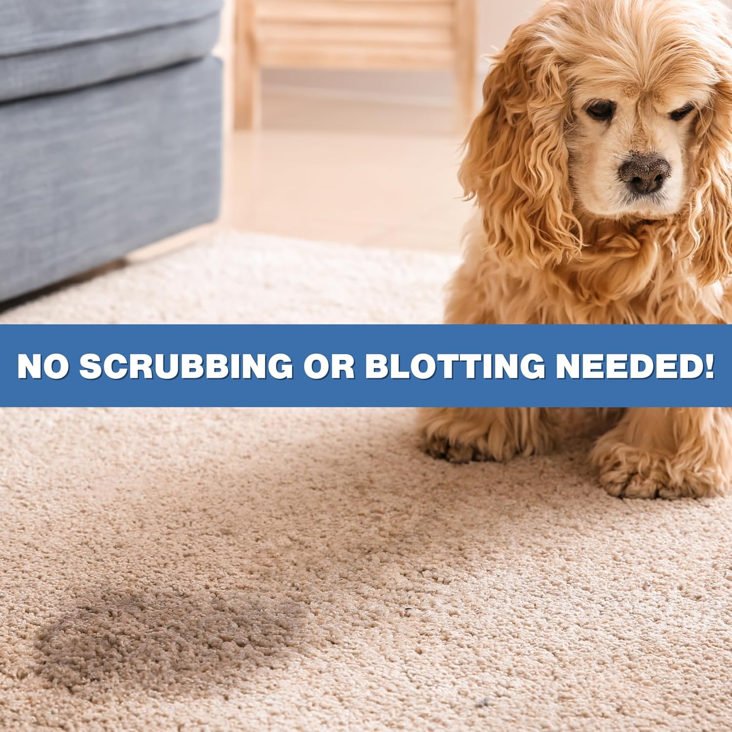 Authentic USA imported pet odor remover for removing tough mattress stains