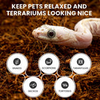 Coconut bedding mixed for reptile habitat setup