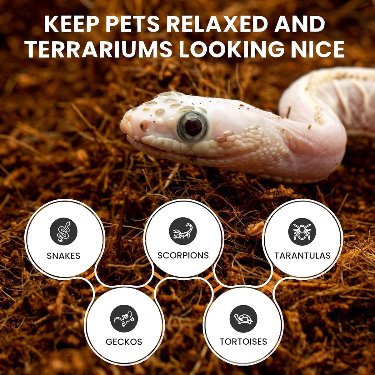 Coconut bedding mixed for reptile habitat setup