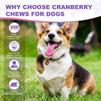 Chewia dog bladder control pills supplement facts and weight chart close up view