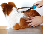 Audoloku pet grooming brush handle separated flat configuration for large dogs