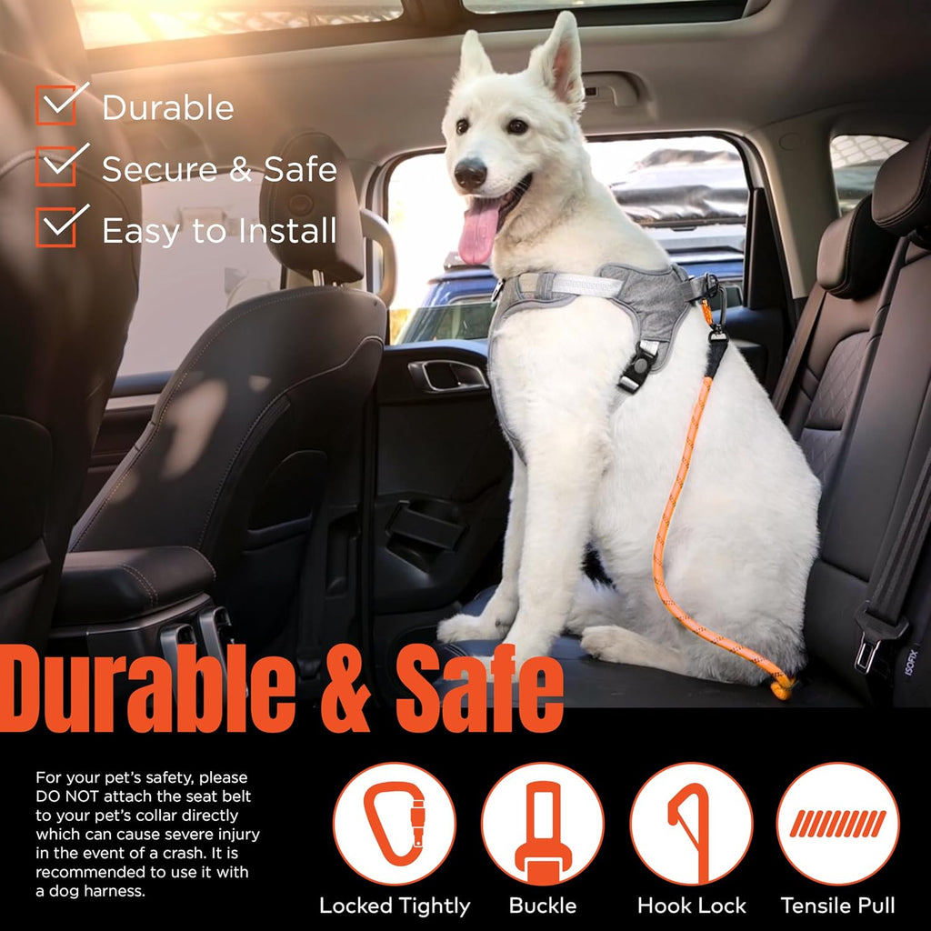 Close up of aviation aluminum carabiner on Arca Pet dog seat belt