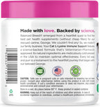 Balanced Breed L-Lysine soft chews ingredient highlights