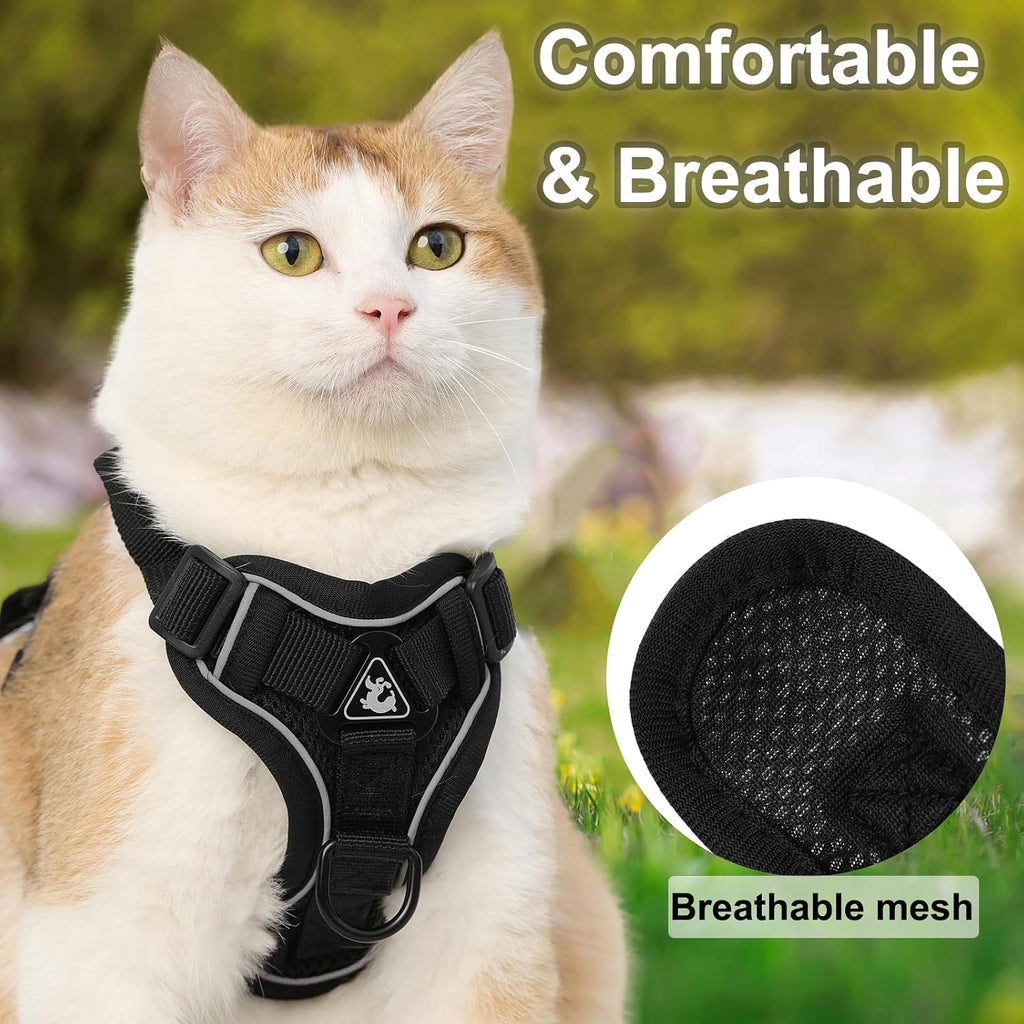 Full Kodervo pet walking set including leash and harness