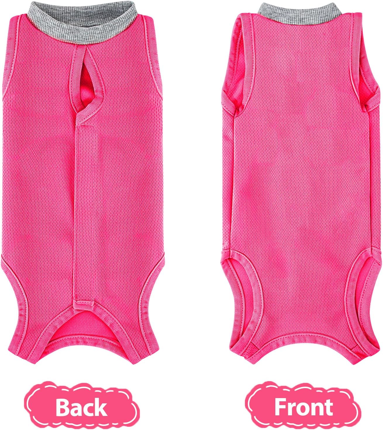 Cat walking freely in Coppthinktu abdominal wound protector