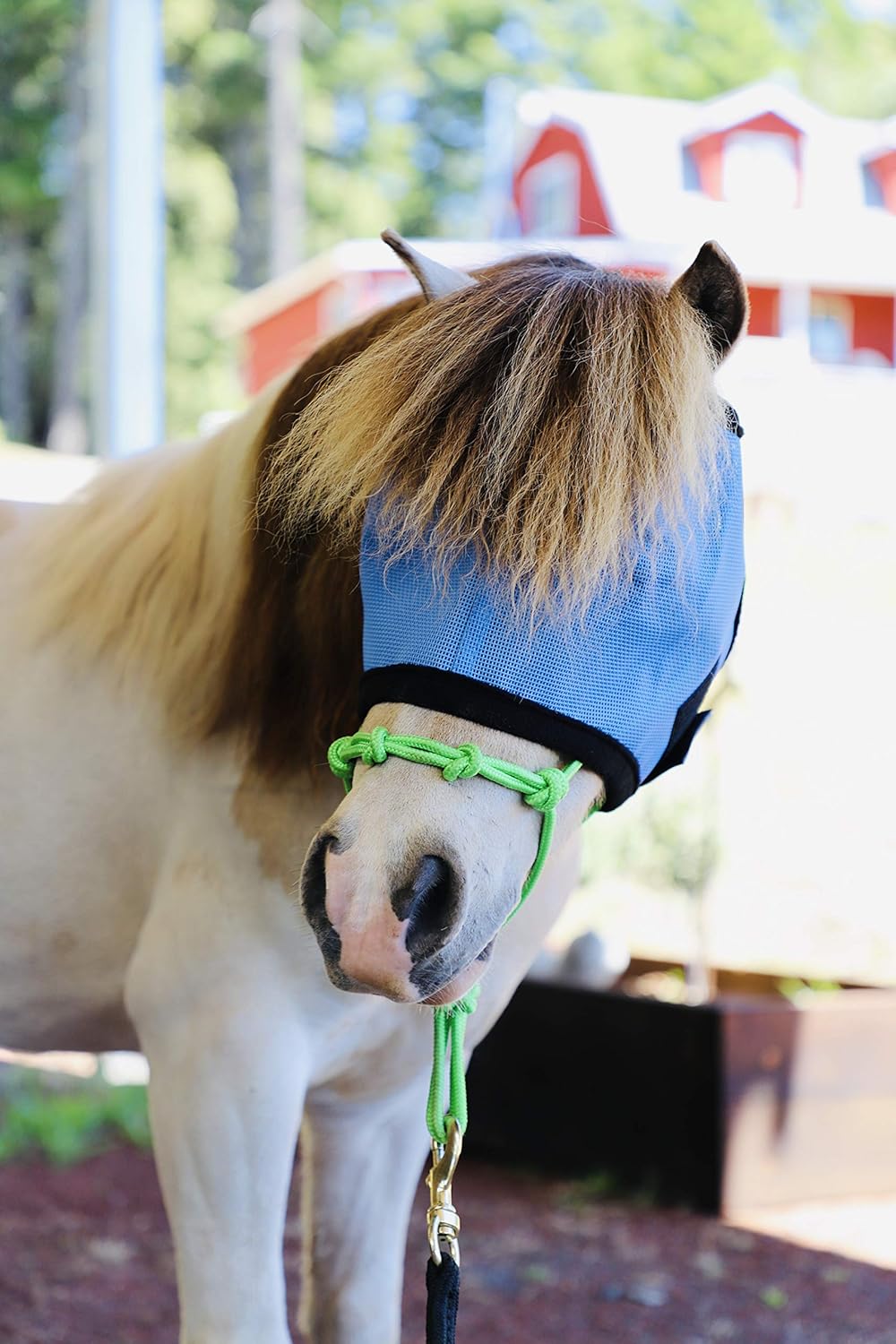 Star Point Horsemanship miniature horse fly mask front view