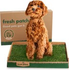 Fresh Patch real grass potty training mat front view