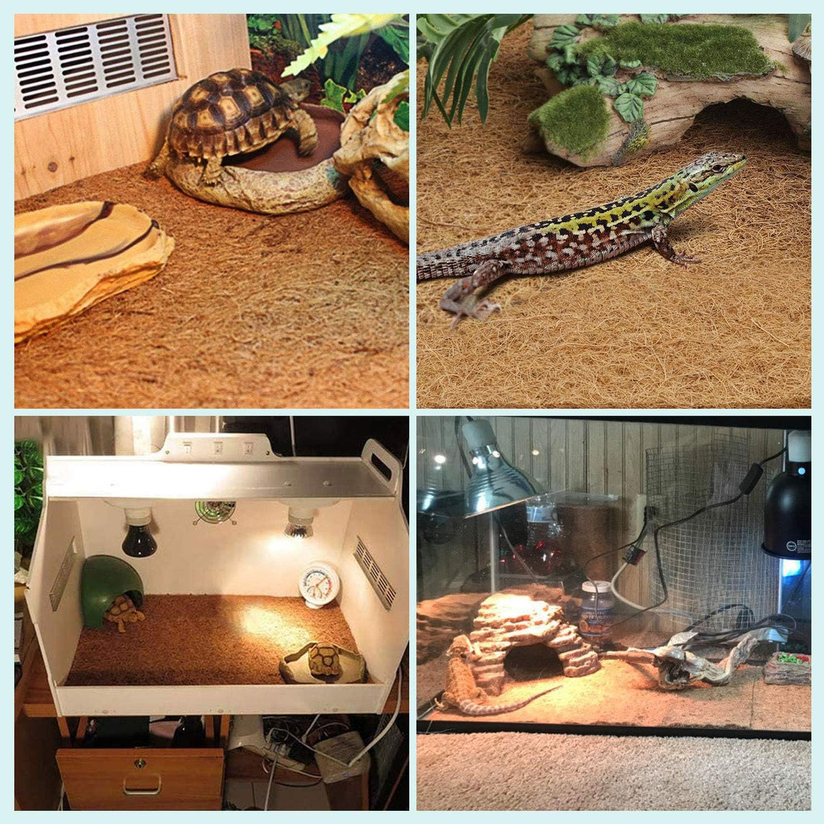 BWOGUE reptile carpet installed inside tortoise terrarium