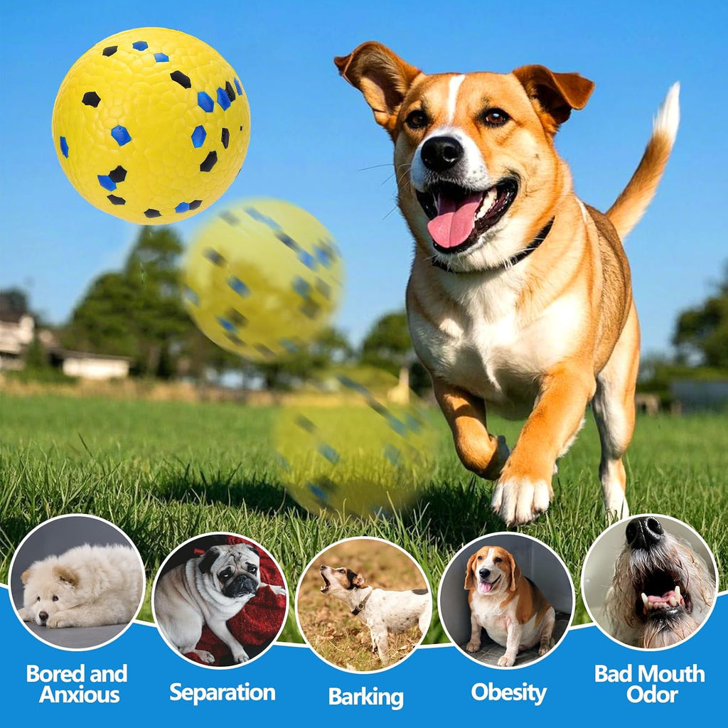 Mity Rain dog toys floating in swimming pool