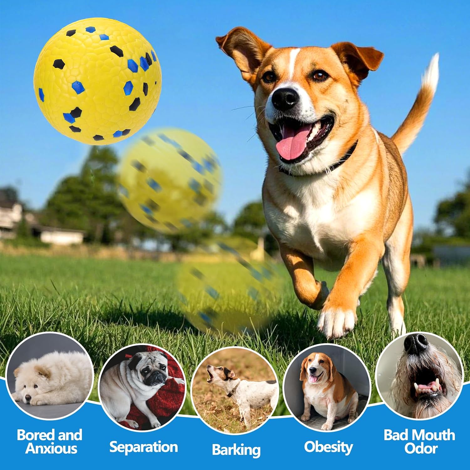 Mity Rain dog toys floating in swimming pool