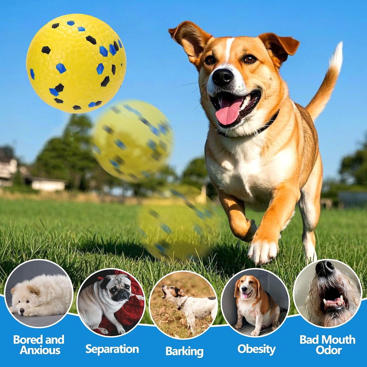 Mity Rain dog toys floating in swimming pool