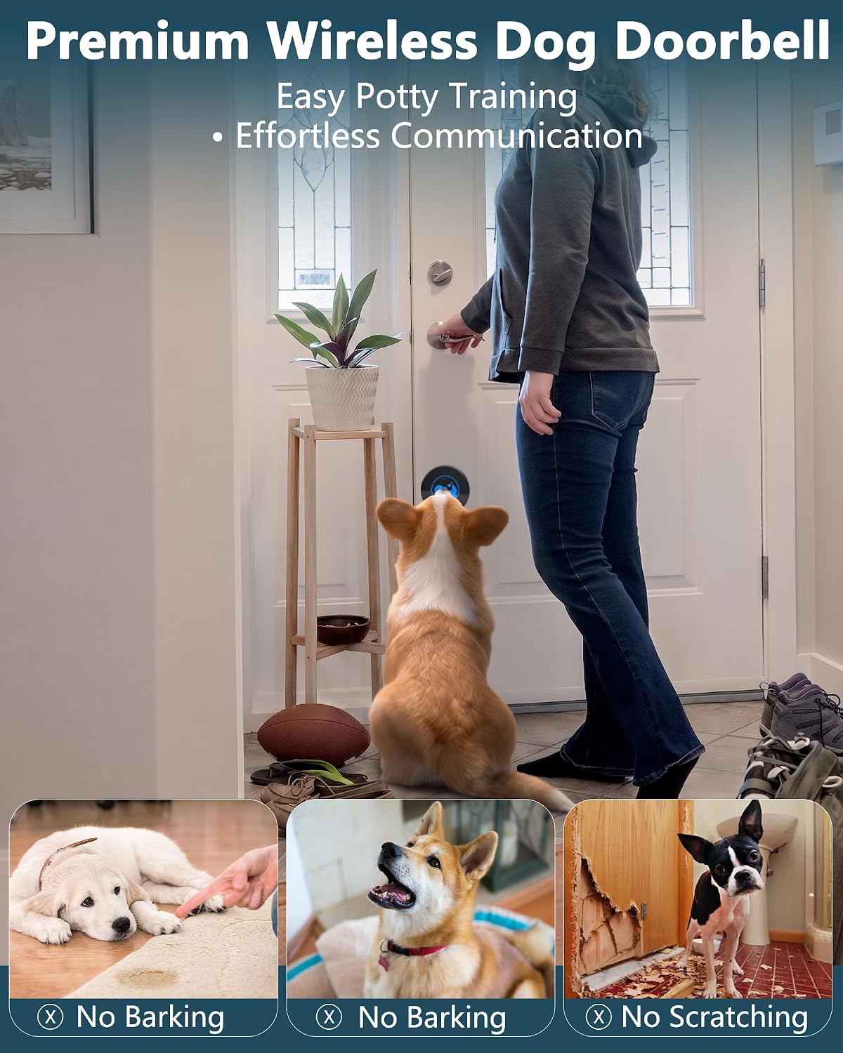 Dog pressing wireless training bell button at door