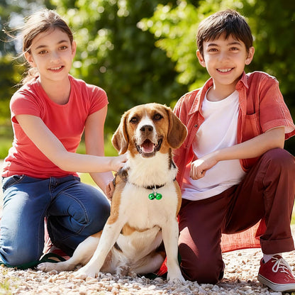 Petknows pet bells attached to a cat collar for visibility