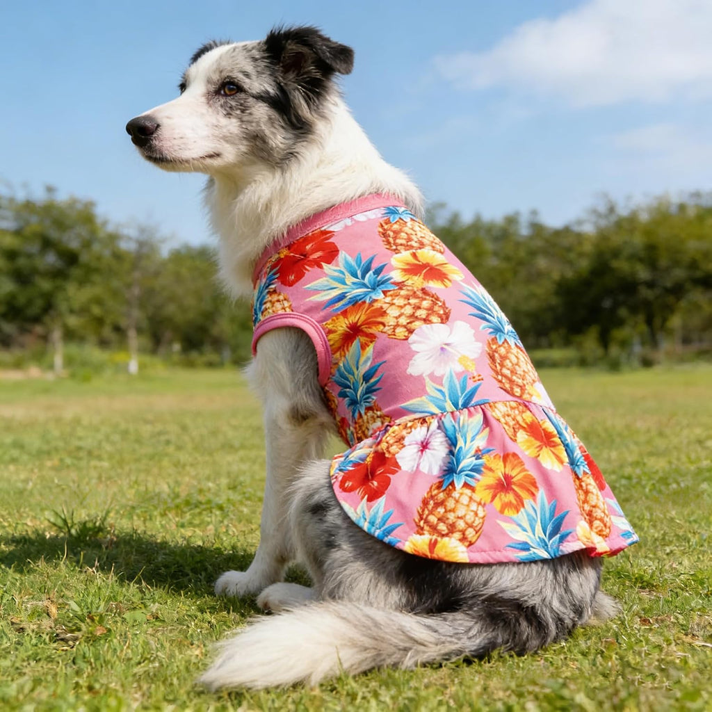 Premium JpGdn lightweight holiday apparel pack for small female pets.