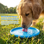 Two piece dog fetch toy set for large dogs