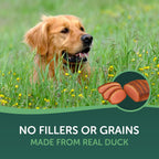 Grain-free duck jerky strips for all life stages