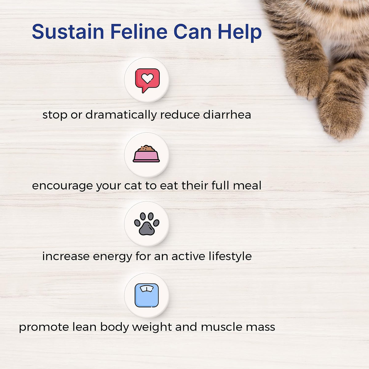 Instructions for mixing EmerAid Sustain Feline powder