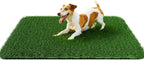 White shepherd dog standing on Pick For Life grass patch
