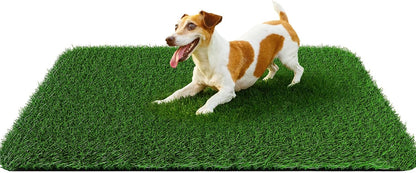 White shepherd dog standing on Pick For Life grass patch