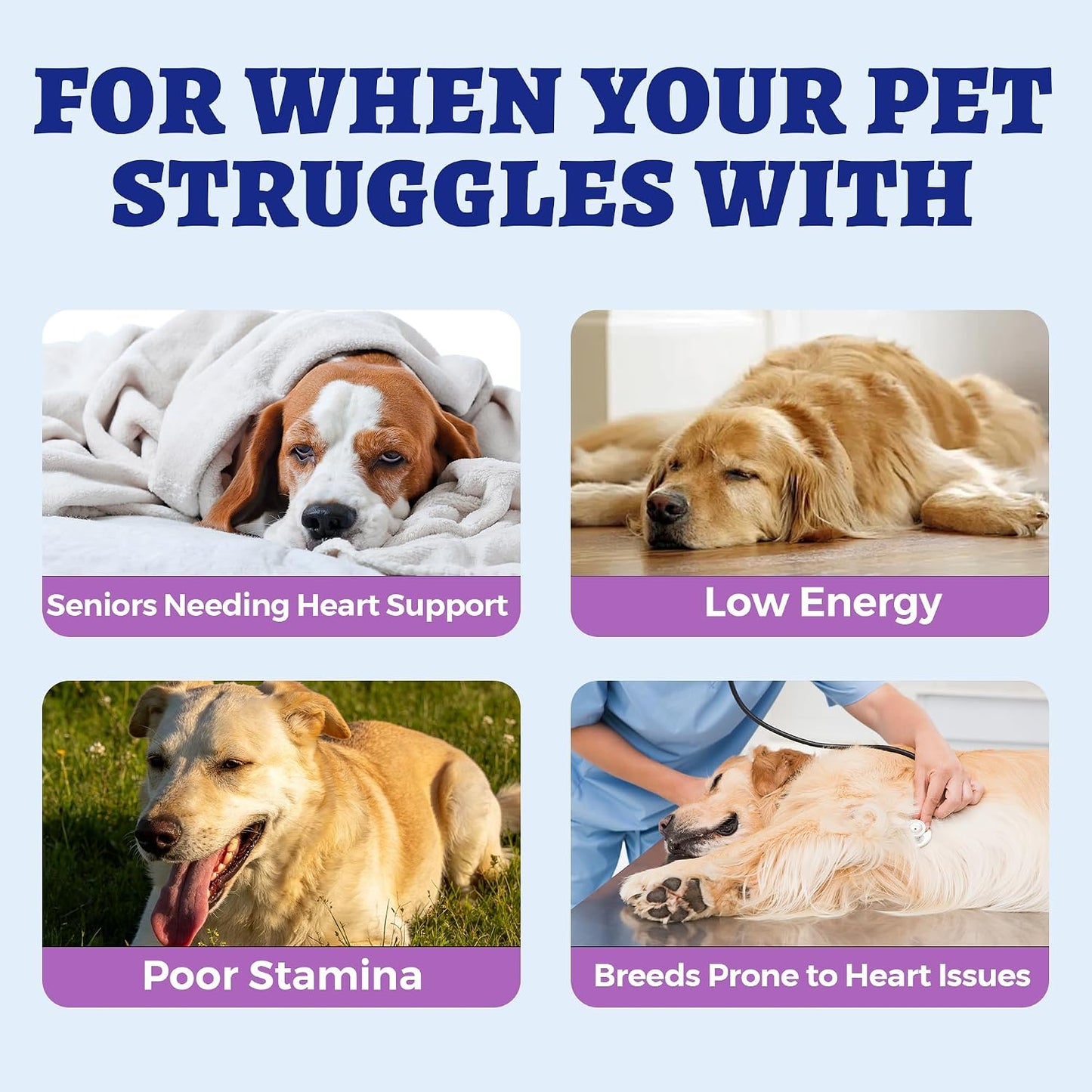 Wellix chicken flavored dog taurine bites for canine cardiac health.