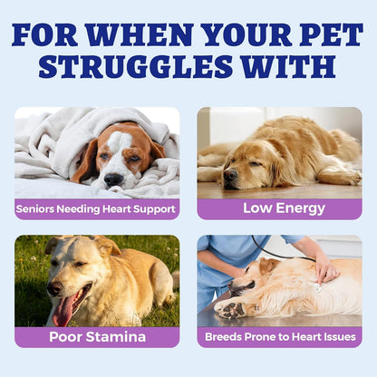 Wellix chicken flavored dog taurine bites for canine cardiac health.