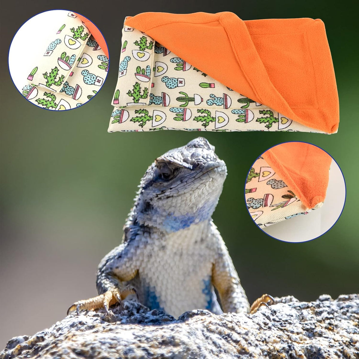 Close up of the fixed pillow on the orange bearded dragon mattress