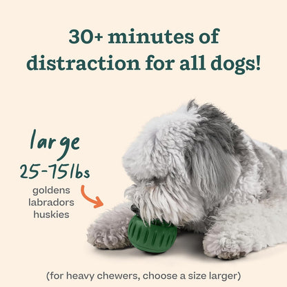 Dog enjoying the Woof Pupsicle long-lasting interactive treat toy