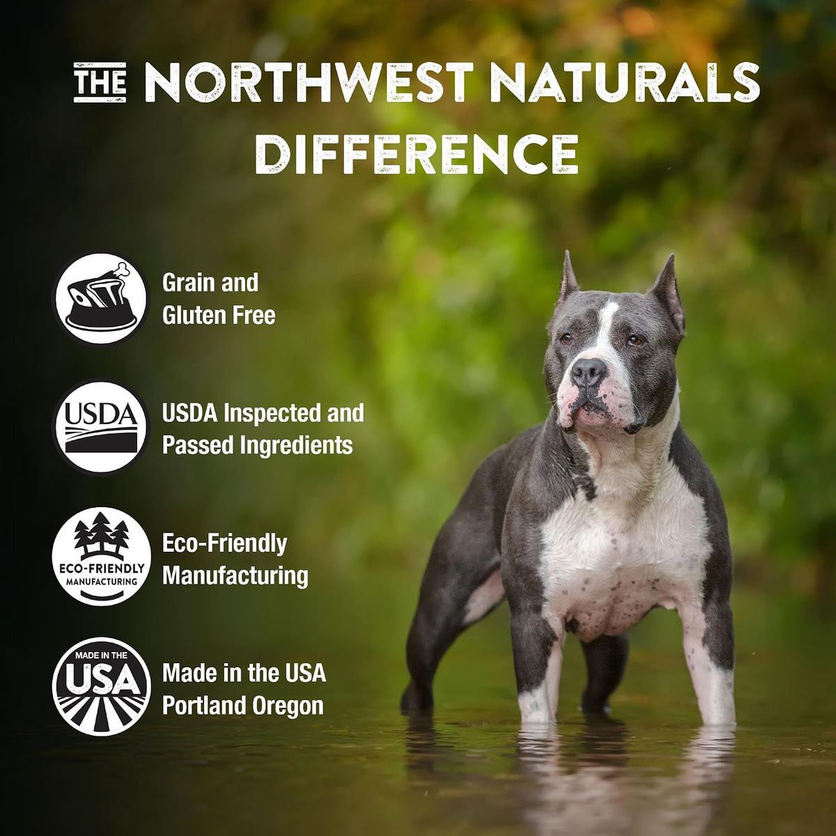 Northwest Naturals high protein raw diet beef meal solutions for small and large dog breeds.