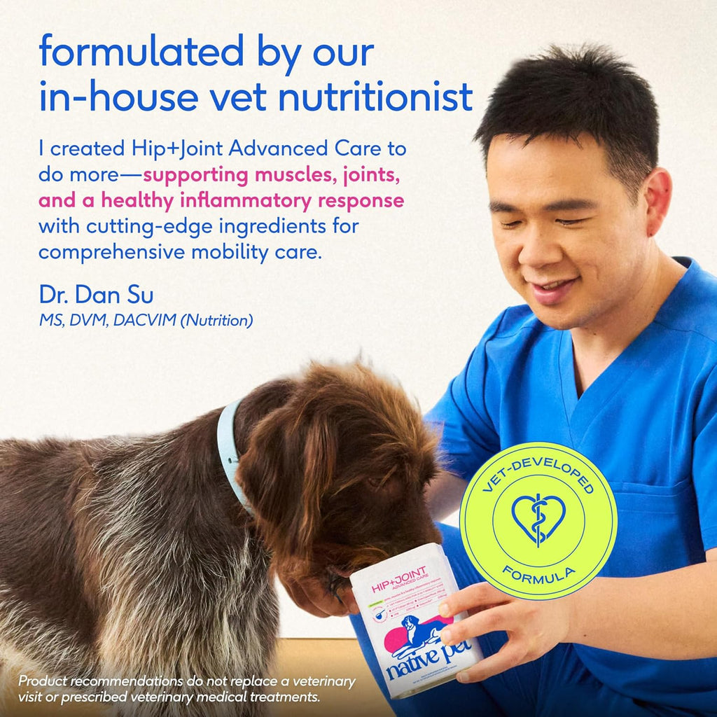 Dog eating food mixed with Native Pet hip and joint powder
