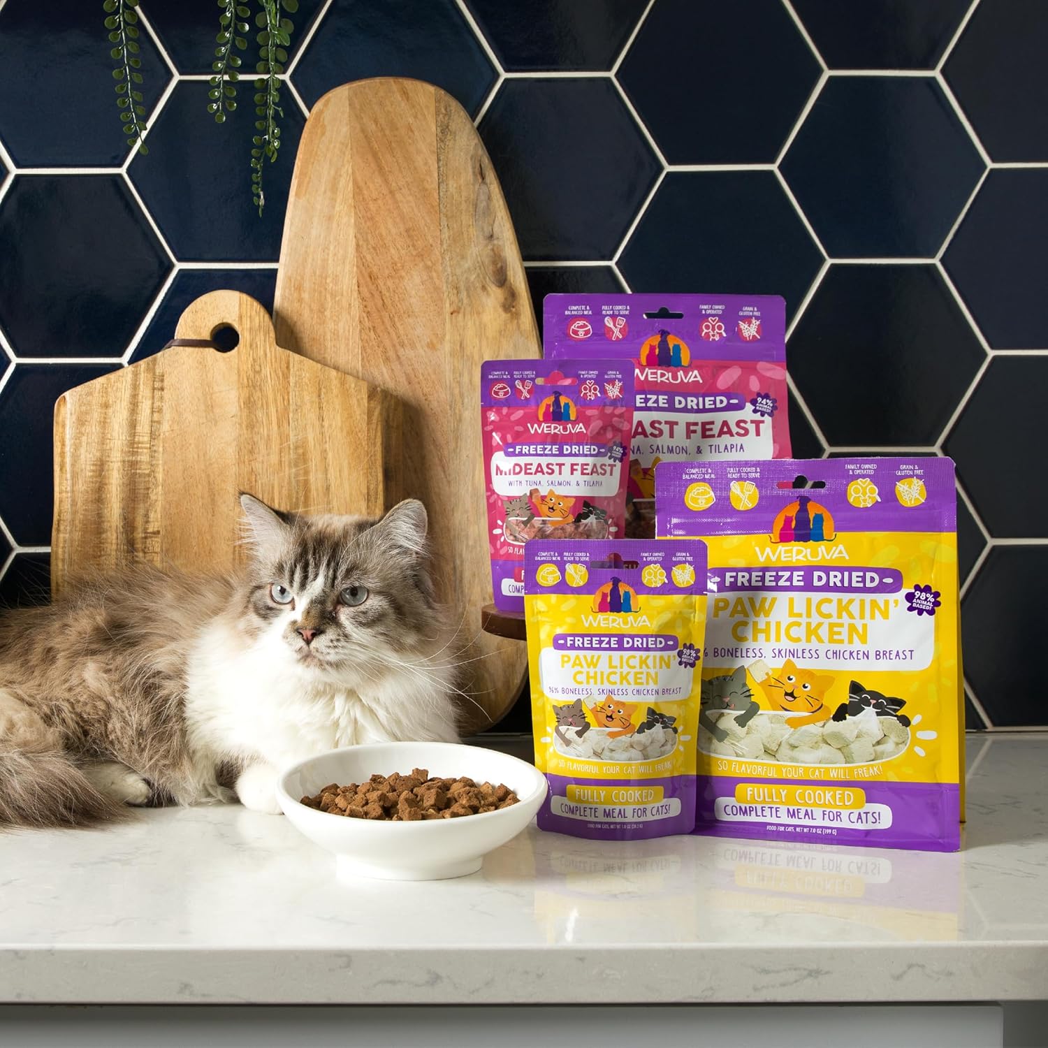 Weruva Cat Freeze Dried, Paw Lickin' Chicken with Chicken Breast, 1oz Bag - Image 10