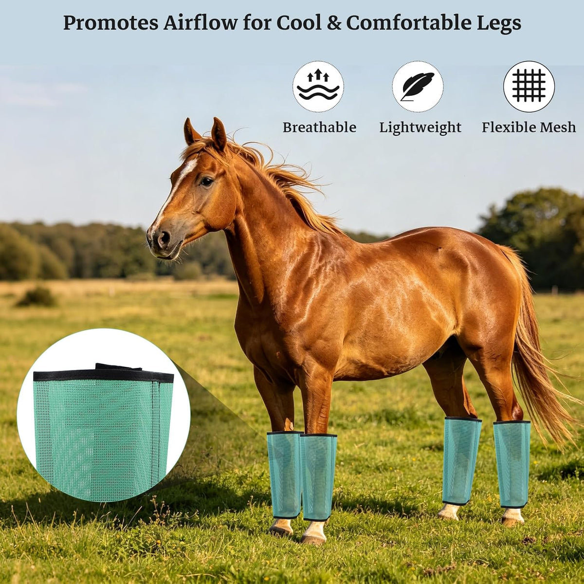 Horse grazing in a pasture wearing KILILIUN green mesh protective boots
