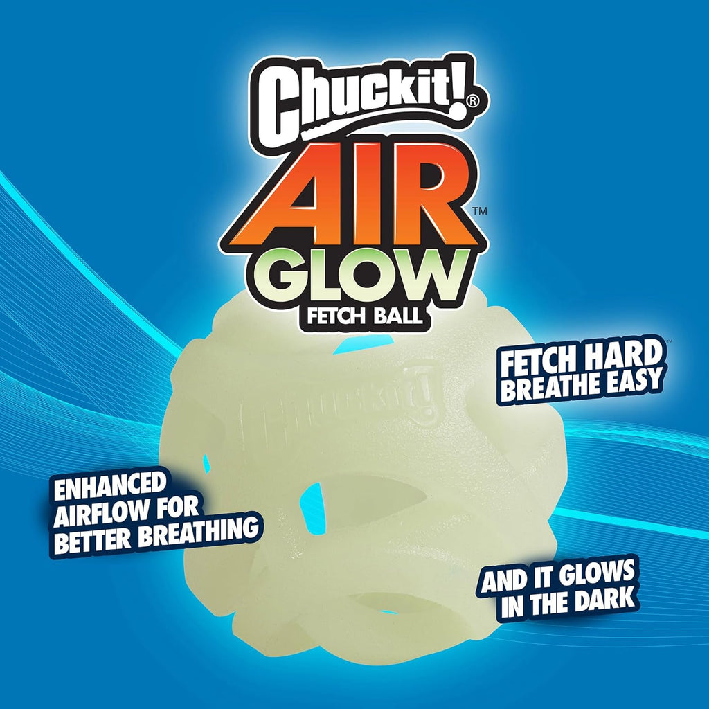 Dog playing with Chuckit! fetch ball outdoors