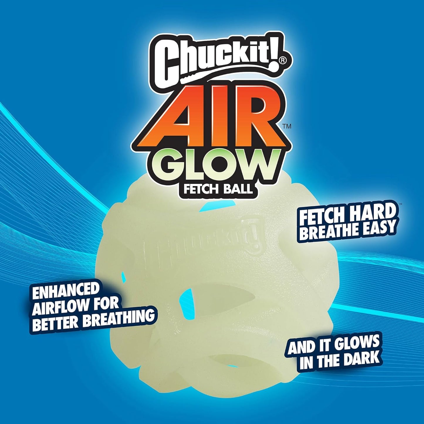 Dog playing with Chuckit! fetch ball outdoors
