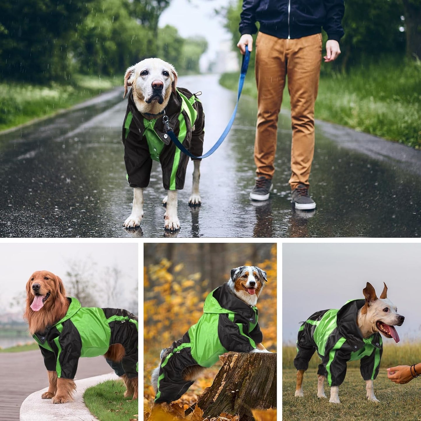 Waterproof pet apparel for large dogs like Golden Retrievers and Labradors.
