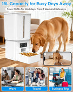 App controlled dog feeder showing smartphone application interface for setting pet meal schedules